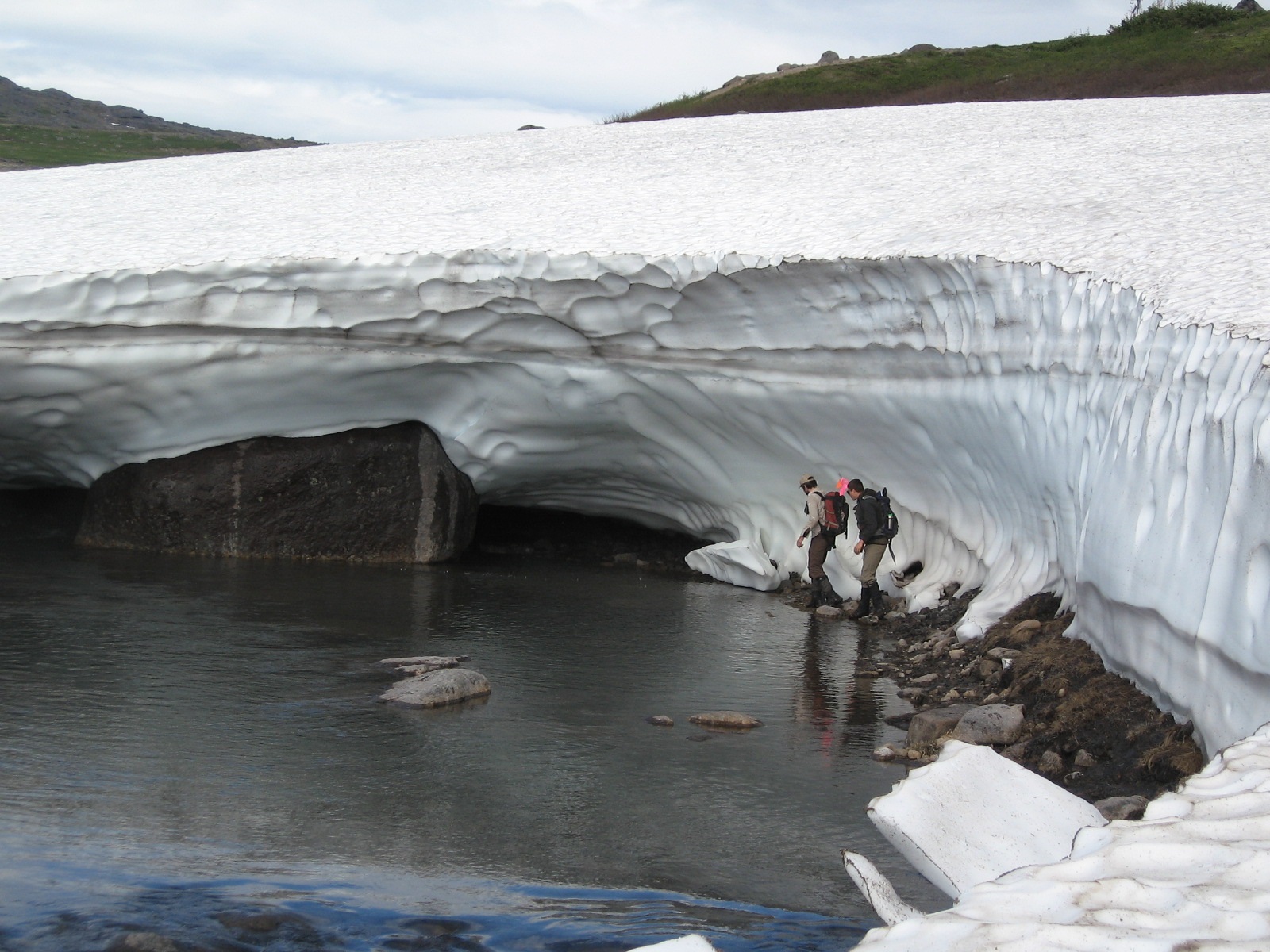 Atlantic Root Symbiosis Lab